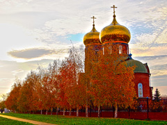 Весна в Боровецком. Увеличить изображение. Размер файла: 641,63 Kb [800X601]