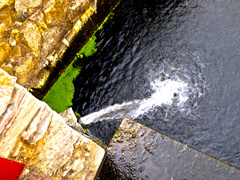 Весна в Боровецком. Увеличить изображение. Размер файла: 698,36 Kb [800X600]