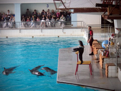 Открытие «Нашей смены». Увеличить изображение. Размер файла: 218,87 Kb [800X600]