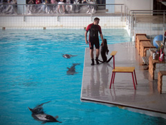 Открытие «Нашей смены». Увеличить изображение. Размер файла: 219,07 Kb [800X600]