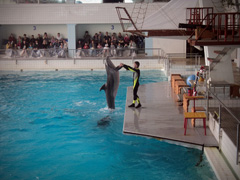 Открытие «Нашей смены». Увеличить изображение. Размер файла: 204,14 Kb [800X600]