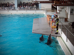 Открытие «Нашей смены». Увеличить изображение. Размер файла: 209,22 Kb [800X600]