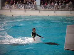 Открытие «Нашей смены». Увеличить изображение. Размер файла: 208,01 Kb [800X600]