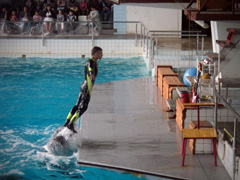 Открытие «Нашей смены». Увеличить изображение. Размер файла: 198,58 Kb [800X600]