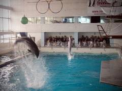 Открытие «Нашей смены». Увеличить изображение. Размер файла: 197,67 Kb [800X600]