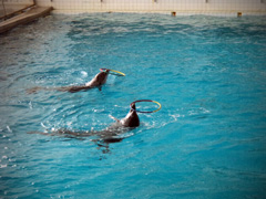 Открытие «Нашей смены». Увеличить изображение. Размер файла: 224,89 Kb [800X600]