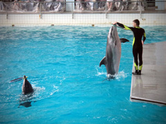 Открытие «Нашей смены». Увеличить изображение. Размер файла: 231,81 Kb [800X600]