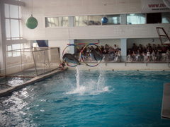 Открытие «Нашей смены». Увеличить изображение. Размер файла: 204,07 Kb [800X600]