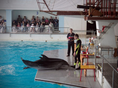 Открытие «Нашей смены». Увеличить изображение. Размер файла: 209,93 Kb [800X600]