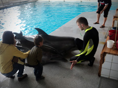 Открытие «Нашей смены». Увеличить изображение. Размер файла: 177,59 Kb [800X600]