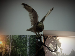 "Наша смена" при Боровецком храме. Увеличить изображение. Размер файла: 134,54 Kb [800X600]