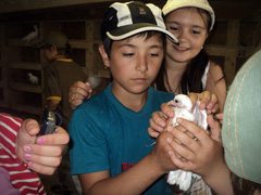 "Наша смена" при Боровецком храме. Увеличить изображение. Размер файла: 176,22 Kb [800X600]