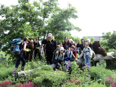 Дождь, чудо и новые знакомства. Увеличить изображение. Размер файла: 612,62 Kb [800X600]