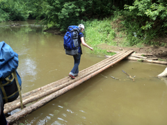 Дождь, чудо и новые знакомства. Увеличить изображение. Размер файла: 469,83 Kb [800X600]