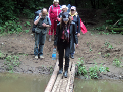 Дождь, чудо и новые знакомства. Увеличить изображение. Размер файла: 481,36 Kb [800X600]