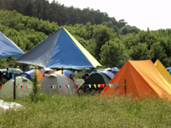 Дождь, чудо и новые знакомства. Увеличить изображение. Размер файла: 393,39 Kb [800X600]