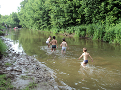 Дождь, чудо и новые знакомства. Увеличить изображение. Размер файла: 598,2 Kb [800X600]