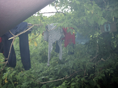 Дождь, чудо и новые знакомства. Увеличить изображение. Размер файла: 372,89 Kb [800X600]