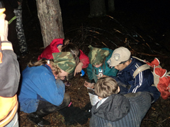 Дождь, чудо и новые знакомства. Увеличить изображение. Размер файла: 405,89 Kb [800X600]