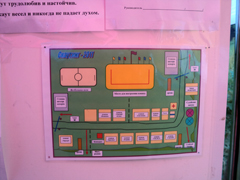 Дождь, чудо и новые знакомства. Увеличить изображение. Размер файла: 311,39 Kb [800X600]