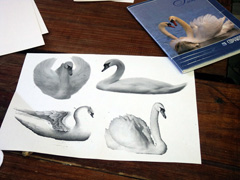 Ярмарка в день Петра и Павла. Увеличить изображение. Размер файла:365,87 Kb [800X600]