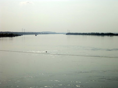 Сплоченные идеей творить и действовать. Увеличить изображение. Размер файла: 285,65 Kb [800X600]