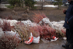 Благотворительная ярмарка в день Вербного воскресенья. Увеличить изображение. Размер фала: 309,99 Kb [800X536]