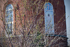 Концерт по случаю празднования Дня Победы. Увеличить изображение. Размер файла: 361,09 Kb [800X536]