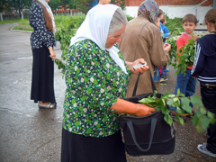 Православный детский лагерь. Увеличить изображение. Размер файла: 295,9 Kb [800X600]
