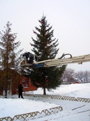 Украшение Рождественской елки. Увеличить изображение. Размер файла: 240,62 Kb [600X800]