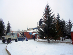 Украшение Рождественской елки. Увеличить изображение. Размер файла: 192,68 Kb [800X600]