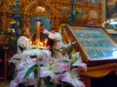 Богослужение в день Сретения Господня. Увеличить изображение. Размер файла: 250,07 Kb [800X600]