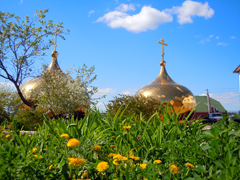 Работы по реконструкции куполов Боровецкой церкви. Увеличить изображение. Размер файла: 305,63 Kb [800X600]