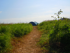 Анзирский лагерь. Увеличить изображение. Размер файла: 528,07 Kb [800X600]