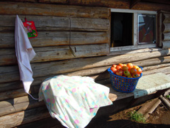 Анзирский лагерь. Увеличить изображение. Размер файла: 491,84 Kb [800X600]