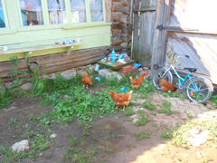 Анзирский лагерь. Увеличить изображение. Размер файла: 605,89 Kb [800X600]