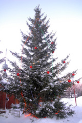 Всенощное бдение в канун Рождества Христова. Увеличить изображение. Размер файла: 420,63 Kb [800X1195]