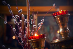 Богослужения Вербного воскресенья. Увеличить изображение. Размер файла: 84,83 Kb [800X536]