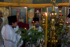 Рождественское ночное богослужение. Увеличить изображение. Размер файла: 168,1 Kb [800X536]