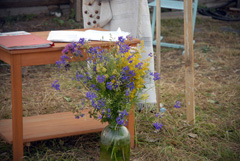 Теплый вечер в Анзирке. Увеличить изображение. Размер файла: 457,91 Kb [800X536]