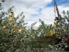 Работы по реконструкции куполов Боровецкой церкви. Увеличить изображение. Размер файла: 308,69 Kb [800X600]