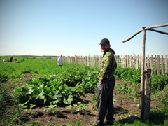 Отдых с пользой для души. Увеличить изображение. Размер файла: 572,35 Kb [800X600]