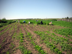 Отдых с пользой для души. Увеличить изображение. Размер файла: 685,46 Kb [800X600]