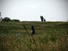 Отдых с пользой для души. Увеличить изображение. Размер файла: 444 Kb [800X600]