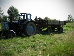 Отдых с пользой для души. Увеличить изображение. Размер файла: 516,25 Kb [800X600]