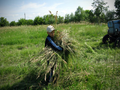 Отдых с пользой для души. Увеличить изображение. Размер файла: 696,12 Kb [800X600]