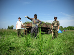 Отдых с пользой для души. Увеличить изображение. Размер файла: 563,05 Kb [800X600]