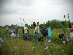 Отдых с пользой для души. Увеличить изображение. Размер файла: 496,04 Kb [800X600]