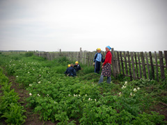 Отдых с пользой для души. Увеличить изображение. Размер файла: 486,83 Kb [800X600]
