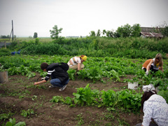Отдых с пользой для души. Увеличить изображение. Размер файла: 578,15 Kb [800X600]